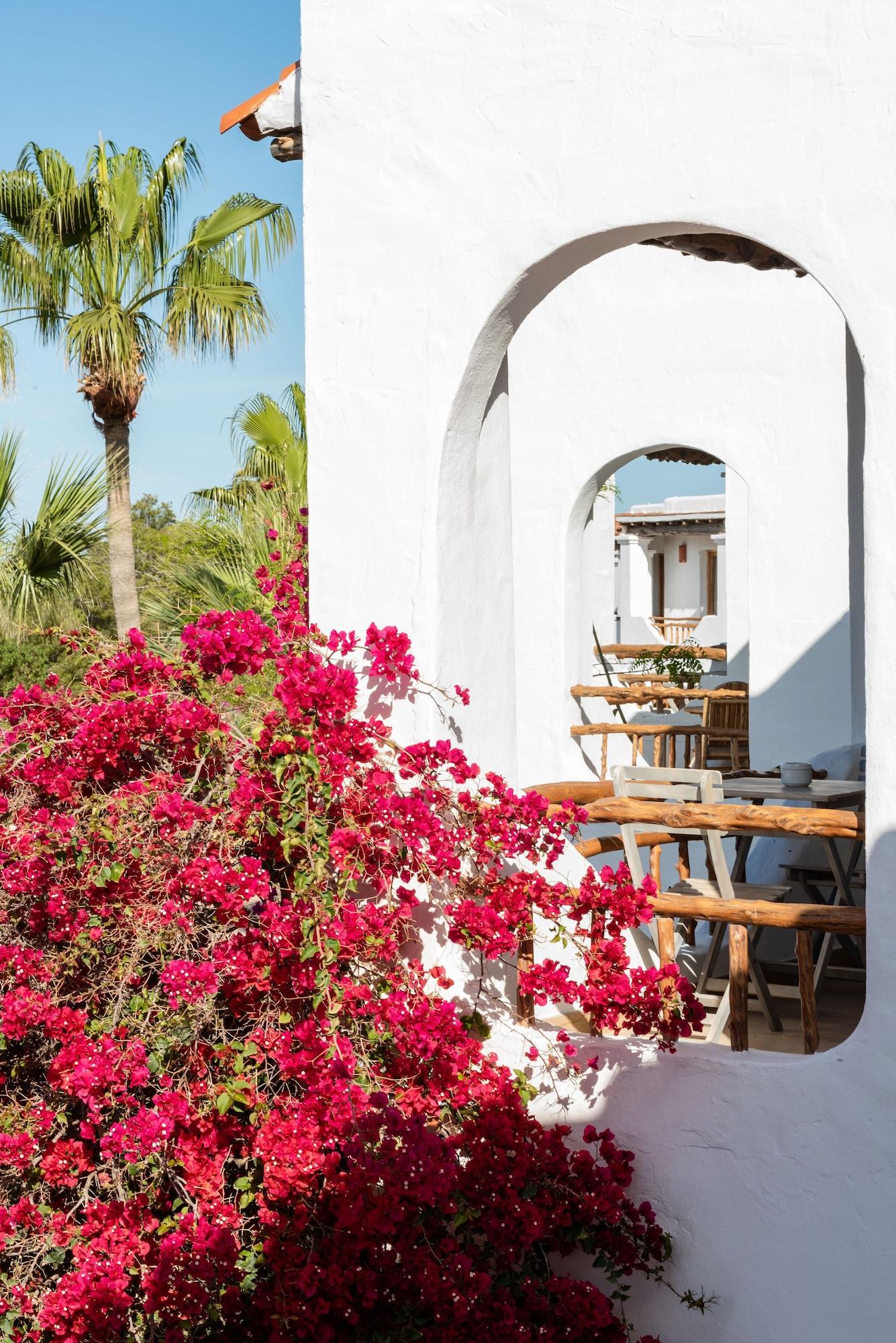 Hotel Petunia Ibiza (Adults Only) Cala Vadella  Exterior foto